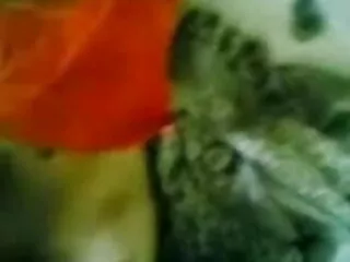 बाथ बीवीआर में सेक्सी हिंदी वीडियो मूवी अन्ना