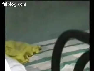 1-14-14-1 हिंदी वीडियो सेक्सी मूवी फिल्म