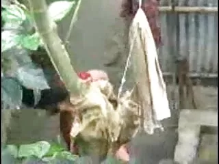 लेस कोक्विंस हिंदी में सेक्सी पिक्चर मूवी डू सूड औएस्ट फ्रेंच