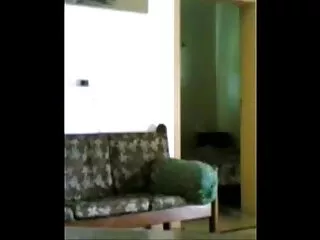 आपकी माँ की एक फूहड़ 10 बीएफ सेक्सी फिल्में मूवी