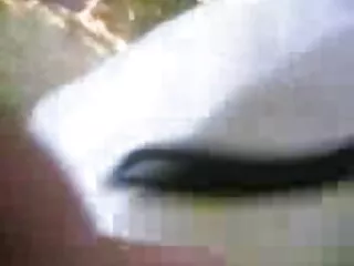 एमेच्योर सेक्सी मूवी फिल्म हिंदी में पार्टी के साथ sluts गड़बड़